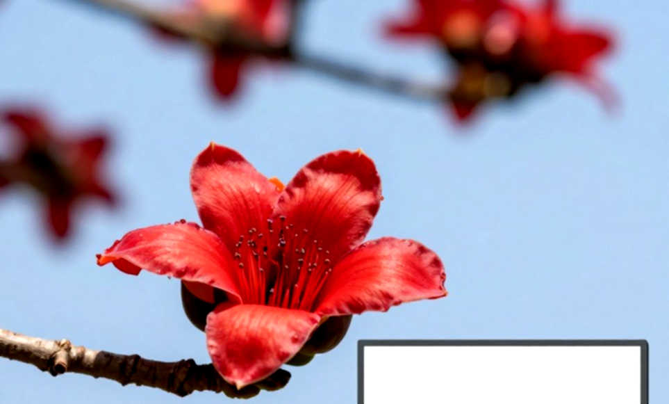 ৩৫ কিলোমিটারে রেকর্ডের ছন্দ, শেষ দুই কিলোমিটারে ধস — বার্লিনে আসেফার ২:১১:০৪ পড়তে হবে অন্য নিয়মে ৩৫ কিলোমিটারে রেকর্ডের ছন্দ, শেষ দুই কিলোমিটারে ধস — বার্লিনে আসেফার ২:১১:০৪ পড়তে হবে অন্য নিয়মে